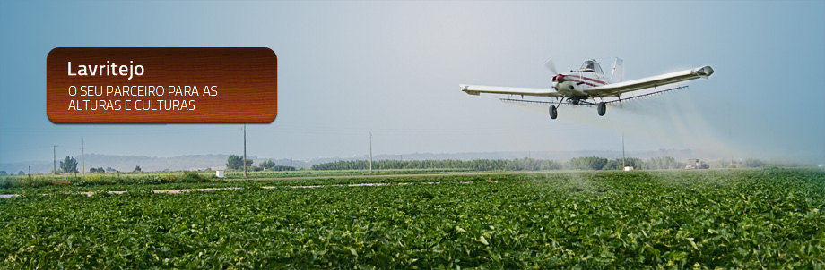 Slideshow Image 2